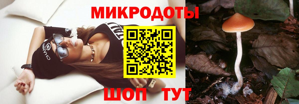 Галлюциногенные грибы ЛСД  Вход с VPN  закладка  Ахтубинск  Галлюциногенные грибы Magic Shrooms 